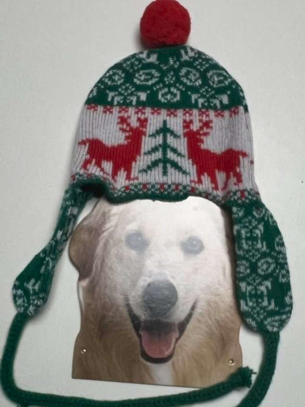 Dog's Winter Hat pet costume - never been worn med/large